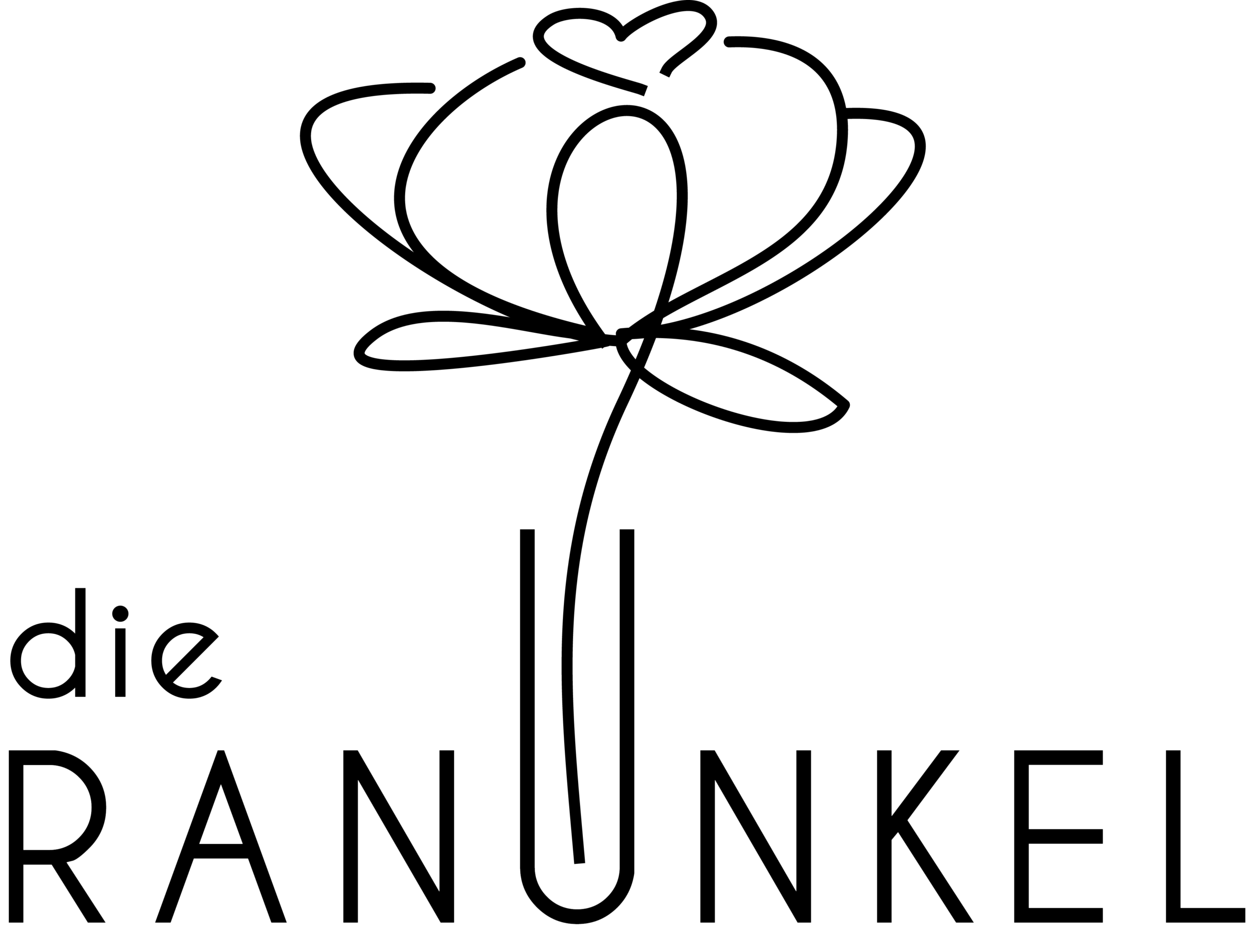 die Ranunkel
